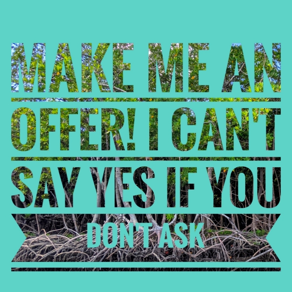 I welcome your offers!